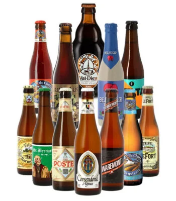 Mega Pack Bières Houblonnées - Pack de 24 bières - Saveur Bière